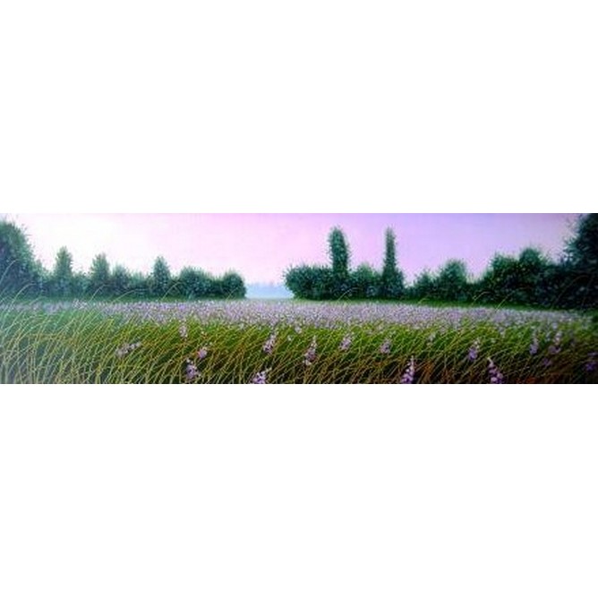 Campo di lavanda